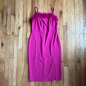 Fabulous Pink Feathered Dress